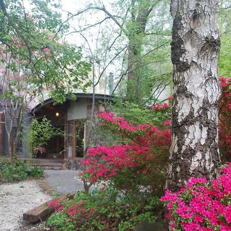 Birch Suite - Rocky Creek Art Garden Olinda Exterior photo