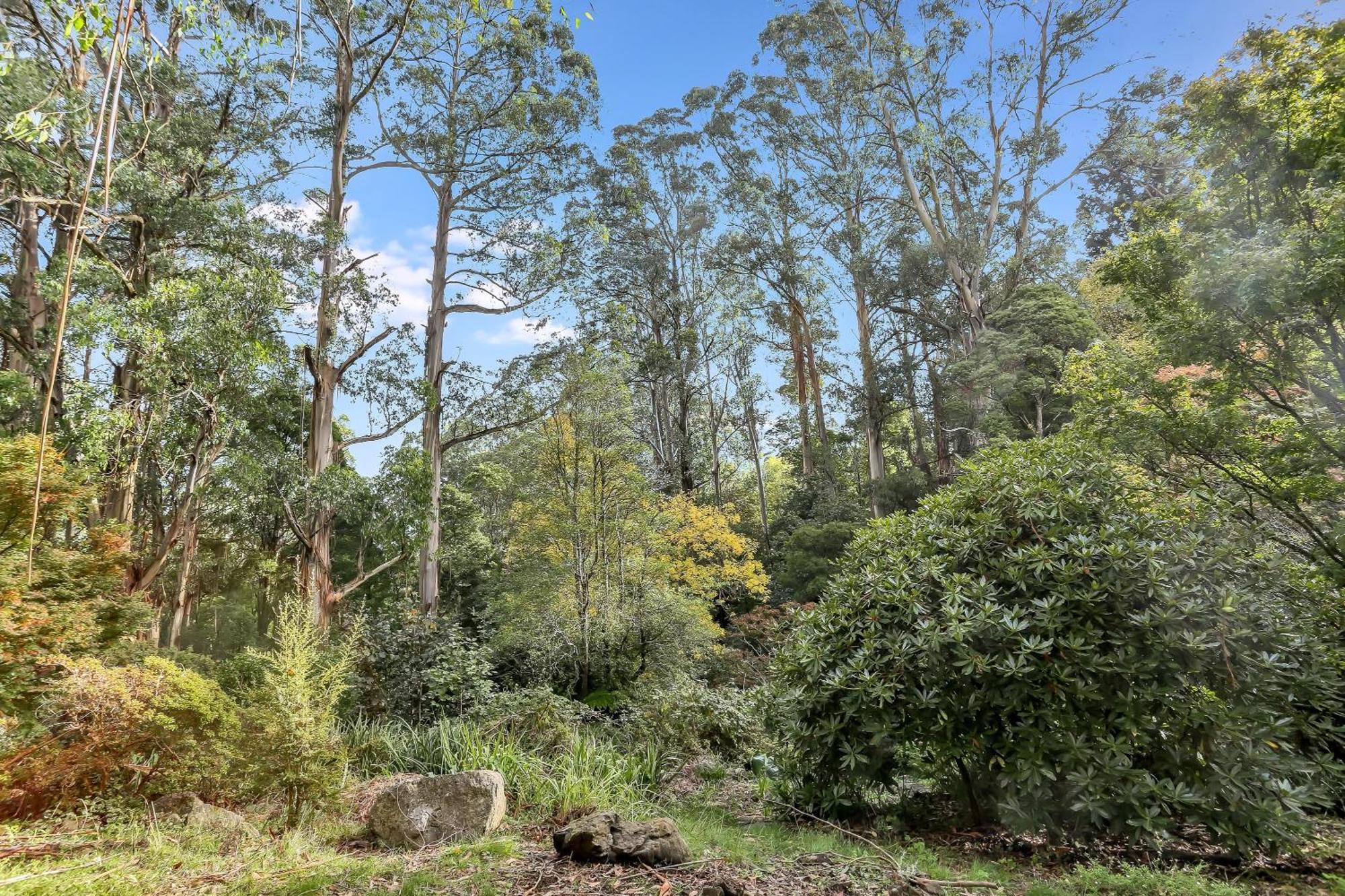 Birch Suite - Rocky Creek Art Garden Olinda Exterior photo