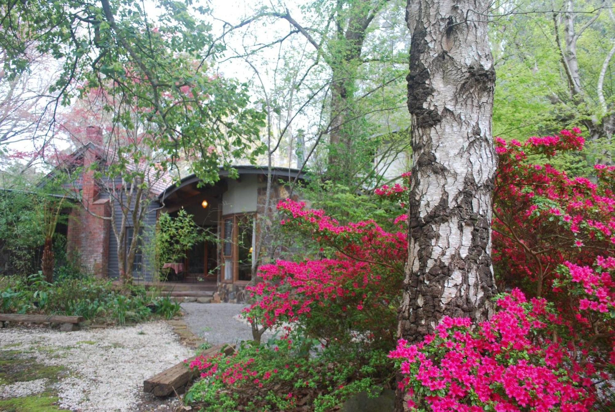 Birch Suite - Rocky Creek Art Garden Olinda Exterior photo